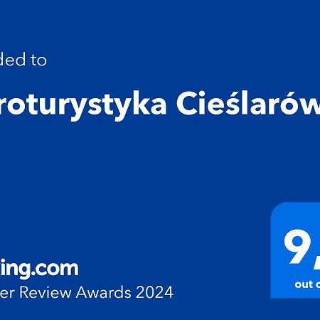 Agroturystyka Cieślarówka Lubawka Exterior foto